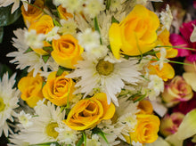 Load image into Gallery viewer, Daisy and Yellow Rose Bush
