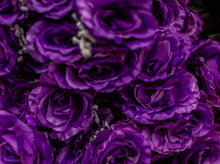 Load image into Gallery viewer, Purple Giant Open Rose Bush
