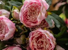 Load image into Gallery viewer, Deluxe Peony Bush

