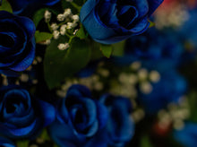 Load image into Gallery viewer, Blue Rose Bud Bush
