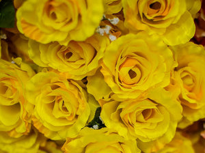 Yellow Giant Open Rose Bush