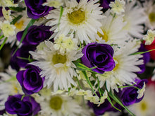 Load image into Gallery viewer, Daisy and Purple Rose Bush
