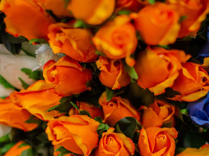 Orange Closed Bud Rose Bush