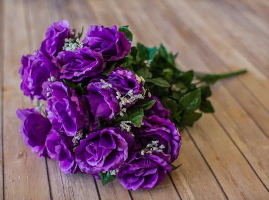 Purple Giant Open Rose Bush