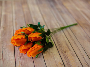 Orange Closed Bud Rose Bush