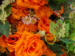 Orange Carnation and Open Rose Bush