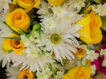 Load image into Gallery viewer, Daisy and Yellow Rose Bush
