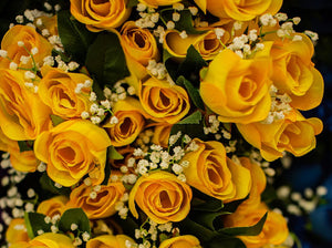 Yellow Rose Bud Bush