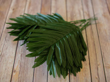 Load image into Gallery viewer, Palm Leaf Bundle
