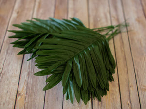 Palm Leaf Bundle