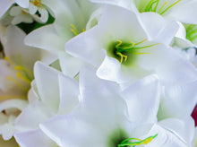 Load image into Gallery viewer, Cream Trumpet Lily Bush
