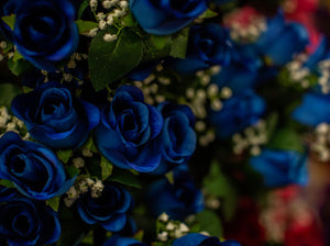Blue Rose Bud Bush