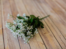 Load image into Gallery viewer, Baby’s Breath
