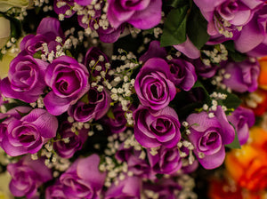 Lavender Rose Bud Bush
