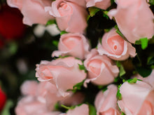 Load image into Gallery viewer, Blush Closed Bud Rose Bush
