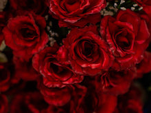 Load image into Gallery viewer, Red Giant Open Rose Bush
