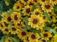 Load image into Gallery viewer, Mini Sunflower Bush

