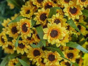 Mini Sunflower Bush